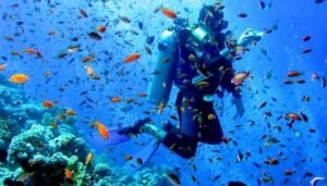 10 Scuba Diving Spots In Andaman Islands