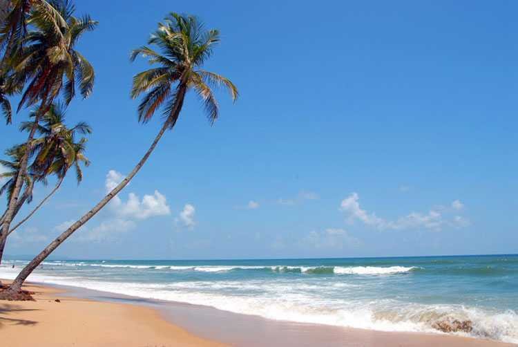 10 Best Beaches In Goa