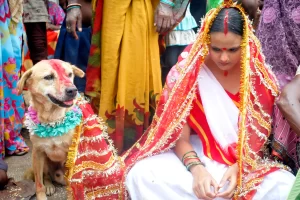 Marriage with dogs and other animals